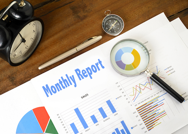 monthly finance report chart